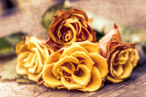 Bunch of roses lies on the floor Bunch of roses lies on the floor